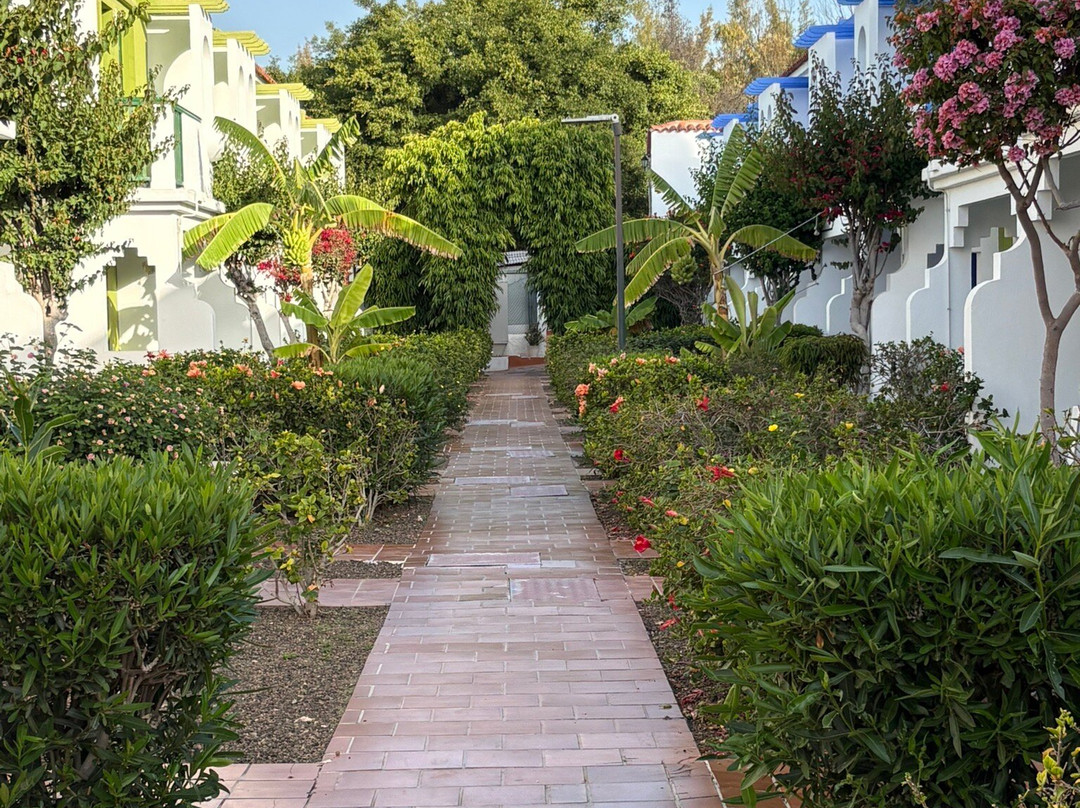 维斯塔弗洛平房主图