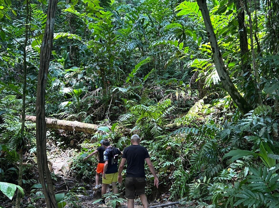 Saut de la Lézarde-Petit-Bourg必去景点