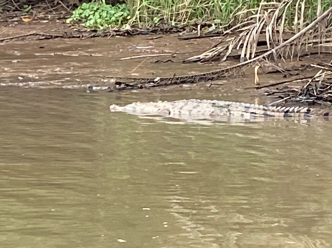 Tortuguero Tours-托图杰多必去景点