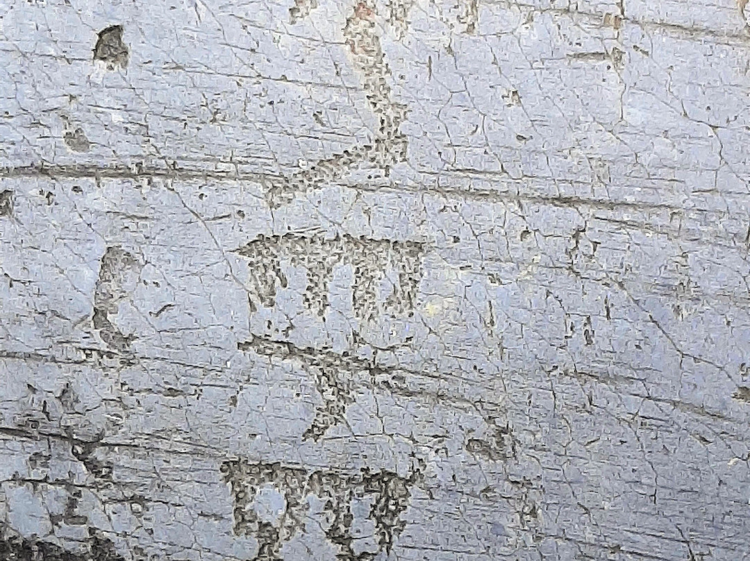 梵尔卡莫尼卡谷地岩画-Capo di Ponte必去景点