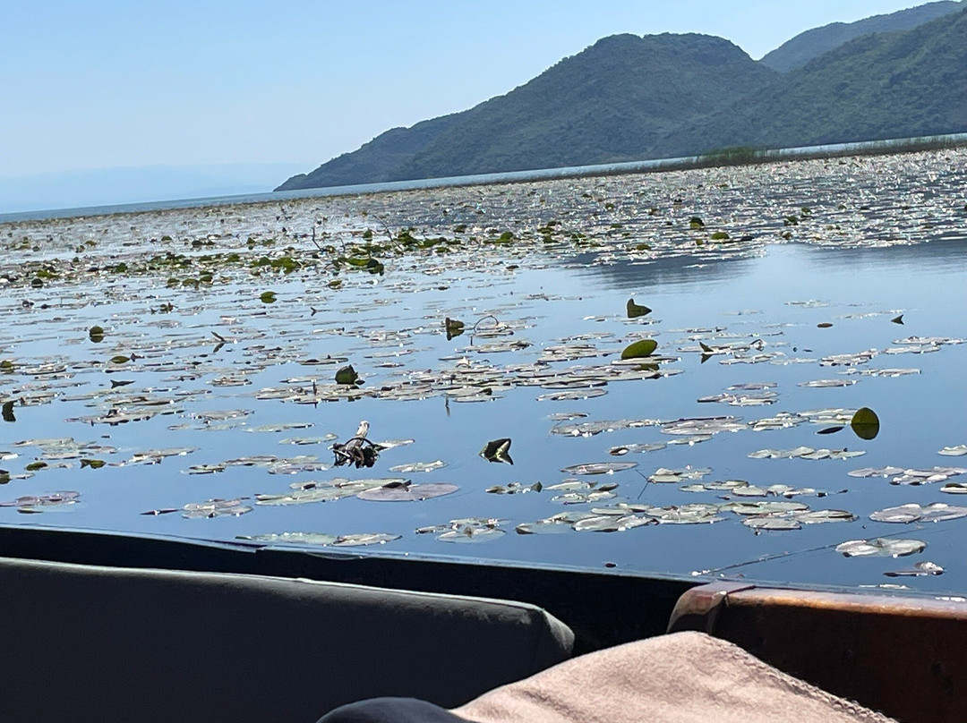 Lake Skadar-黑山共和国必去景点