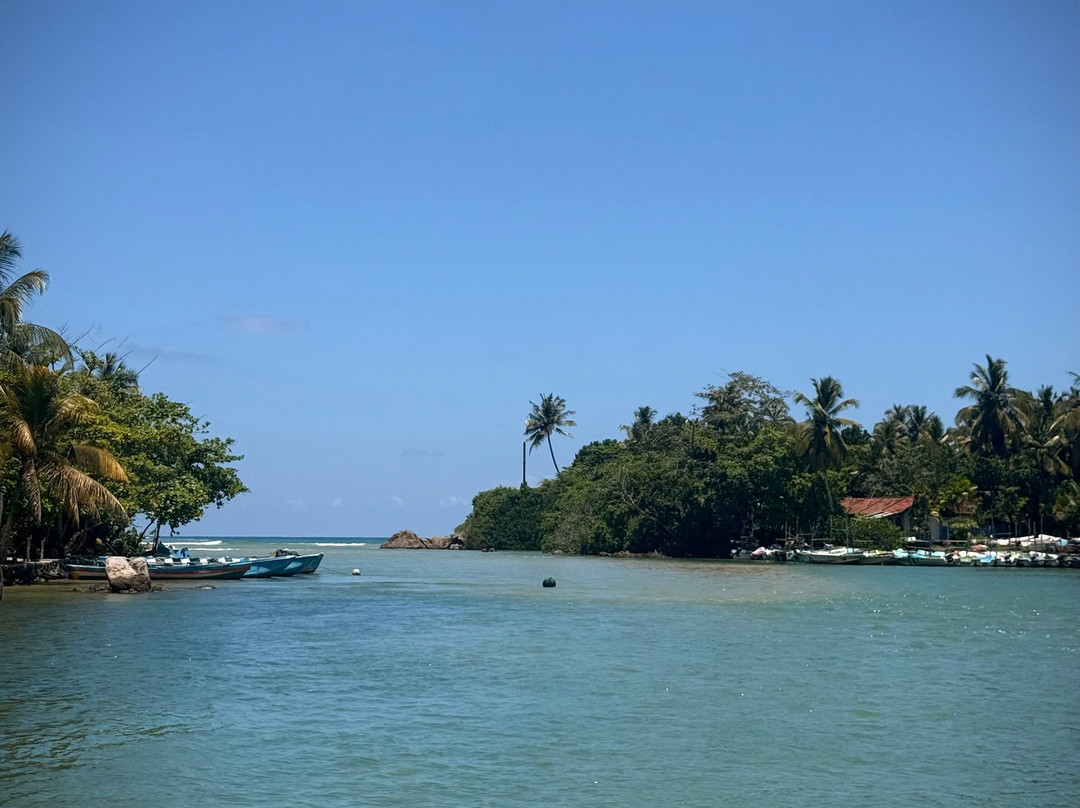 D.S Tours Day Tours-尼甘布必去景点