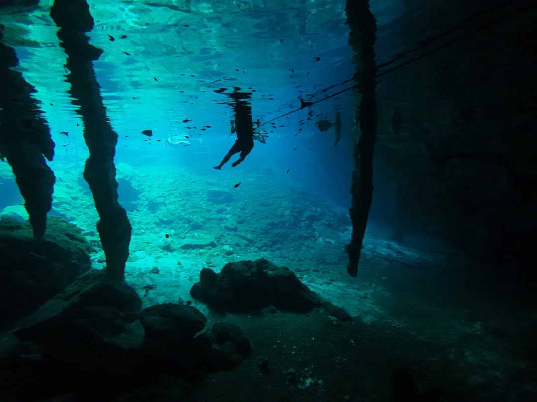 Gran Cenote-图伦必去景点