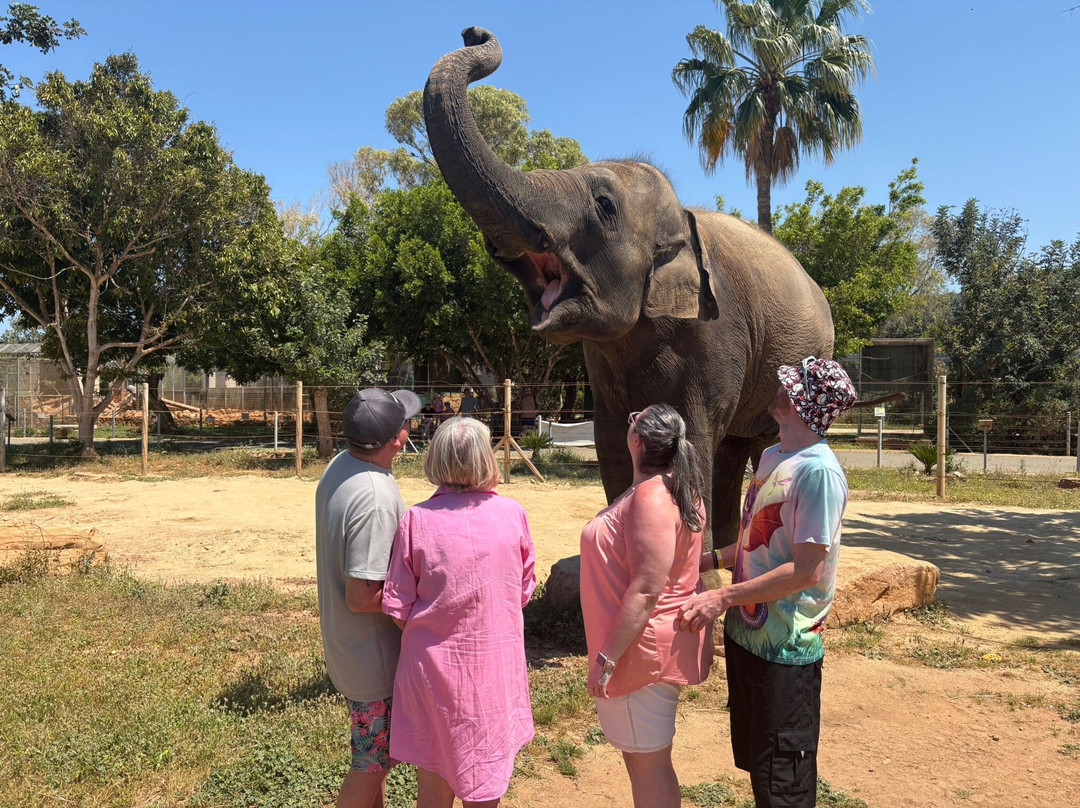 Pafos Zoo-帕福斯必去景点