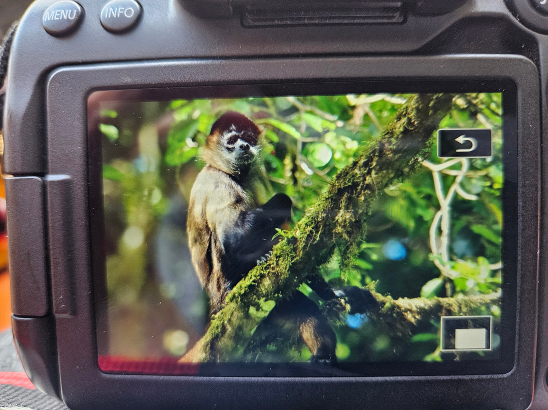 Woodpecker Educational Tours-Canas必去景点