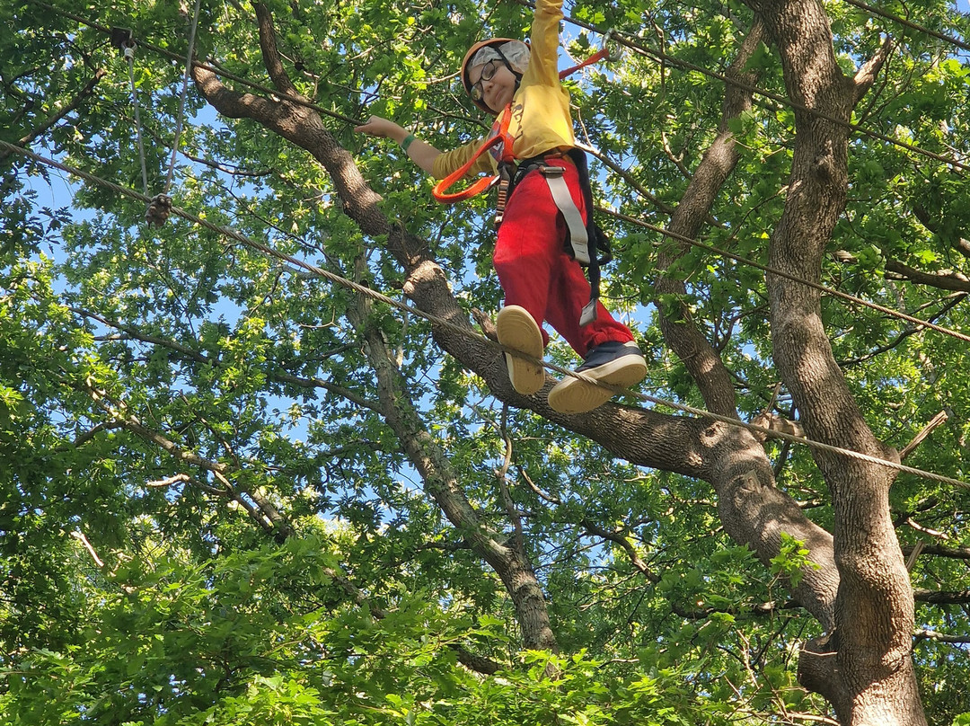 Parco Avventura Il Giardino Sospeso-Riparbella必去景点