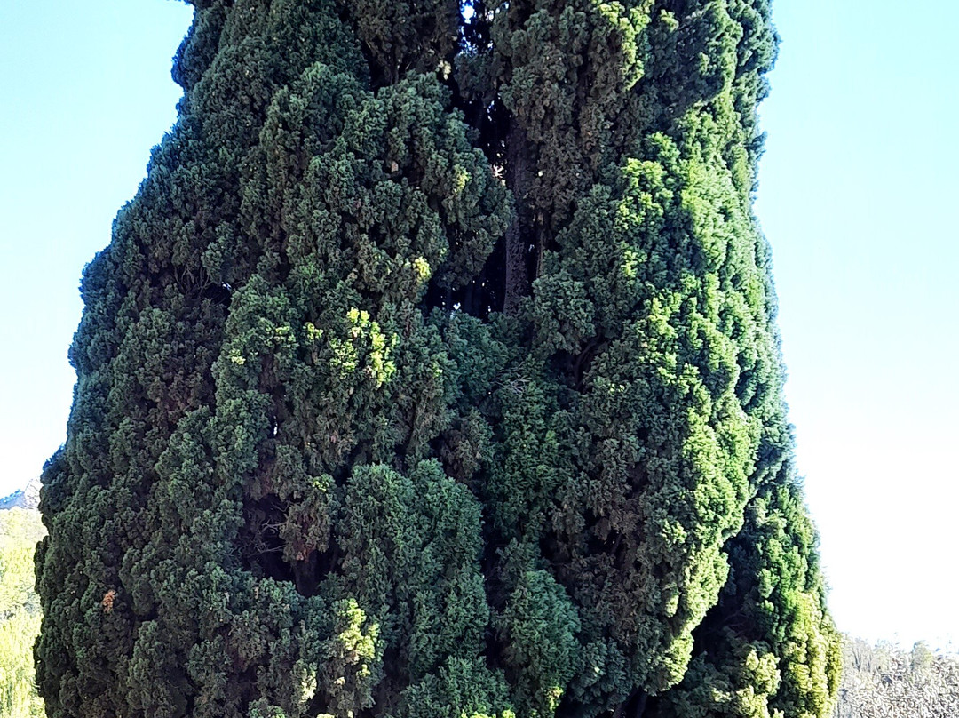 Borgo La Scola-Grizzana Morandi必去景点