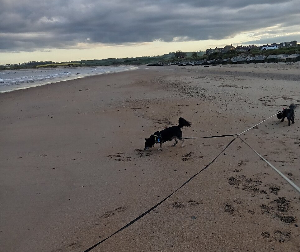 Alnmouth Beach-Alnmouth必去景点