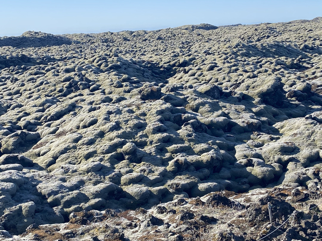 Eldhraun Lava Field-科克拜亚克劳斯特必去景点