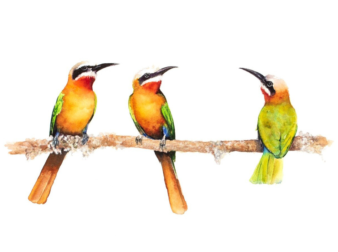 Warren Cary Wildlife Gallery-霍德斯普鲁特必去景点