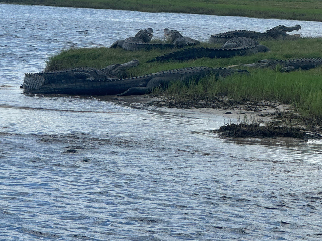 AirBoat Rides at Midway-Christmas必去景点