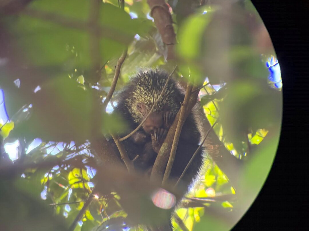 Manuel Antonio Expeditions-哥斯达黎加安东尼奥国家公园必去景点