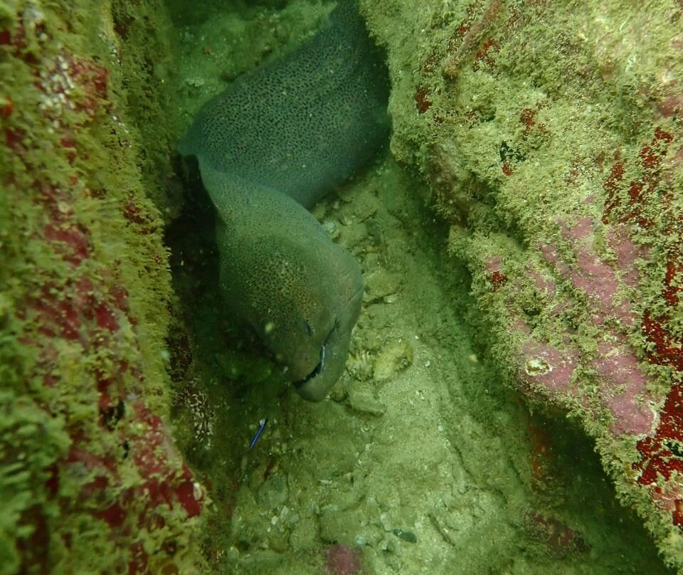 Kalpitiya Diving Center-卡尔皮蒂耶必去景点