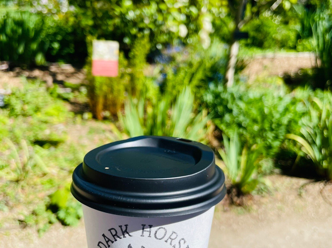 University of Oxford Botanic Garden-牛津必去景点