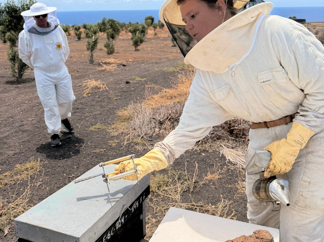 Lanzarote Honeybees-Macher必去景点