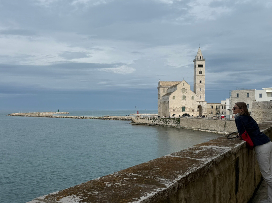 Cattedrale di Trani-特拉尼必去景点