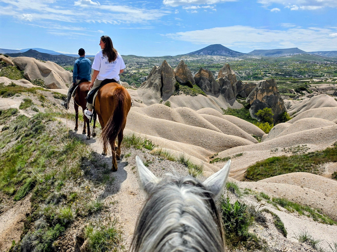 The Dalton Brothers Horse Riding Tours-格雷梅必去景点