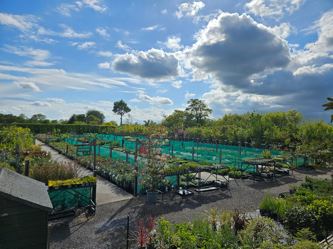 Langthorns Plantery-Little Canfield必去景点