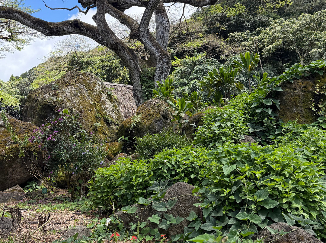 威美亚山谷-哈雷瓦必去景点