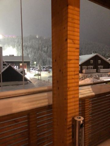 列维戈尔德套房酒店-旅行者