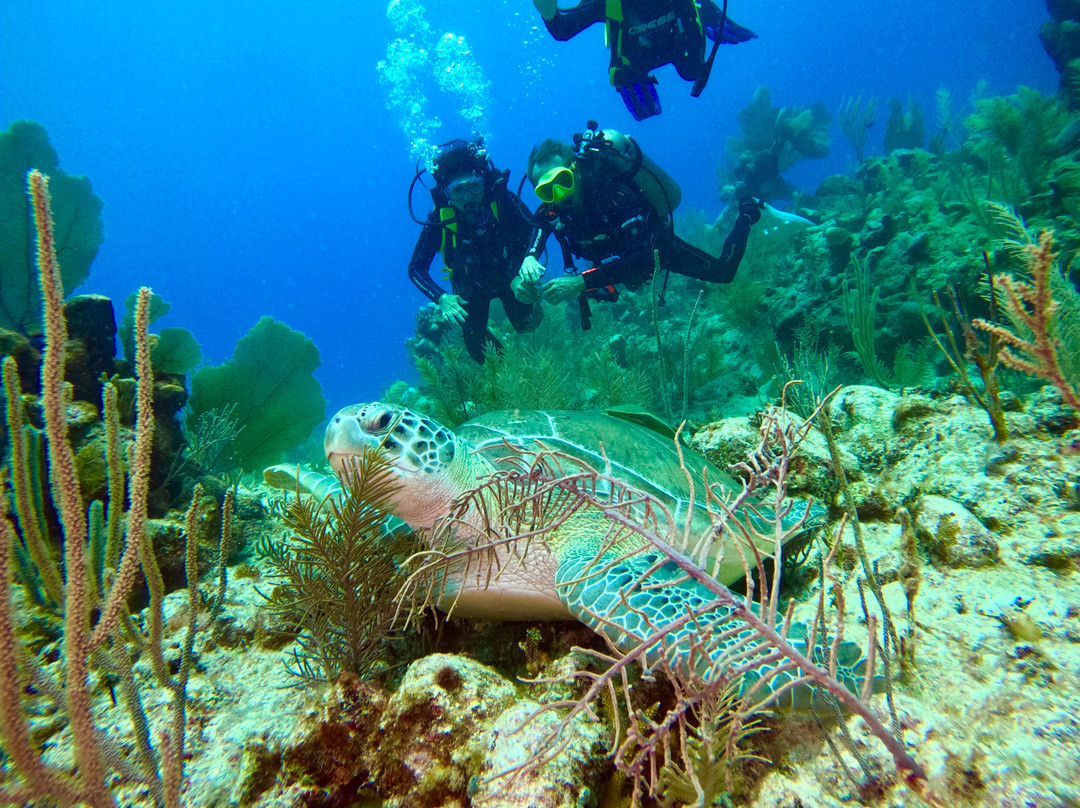Adventure Tours Yucatan-梅里达必去景点