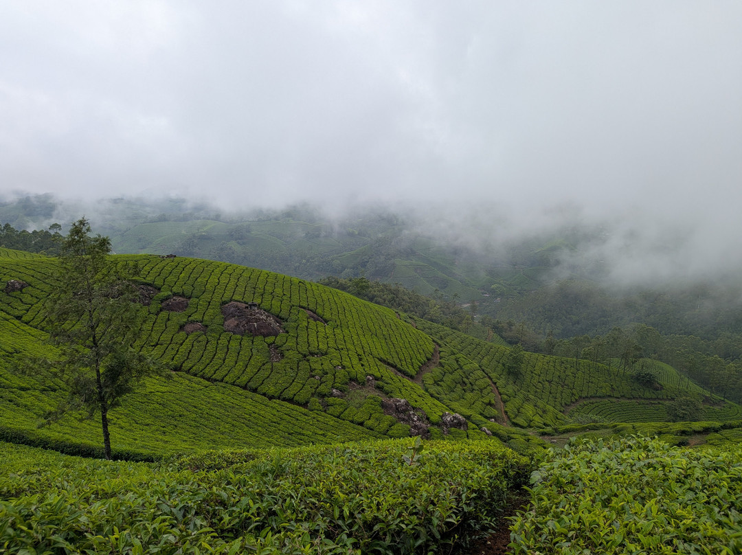 Munnar Trekking Adventure-慕那尔必去景点