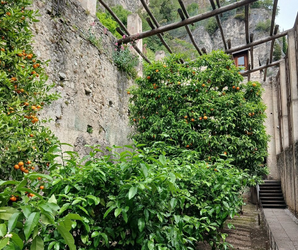 La Limonaia Del Castel-利莫内必去景点