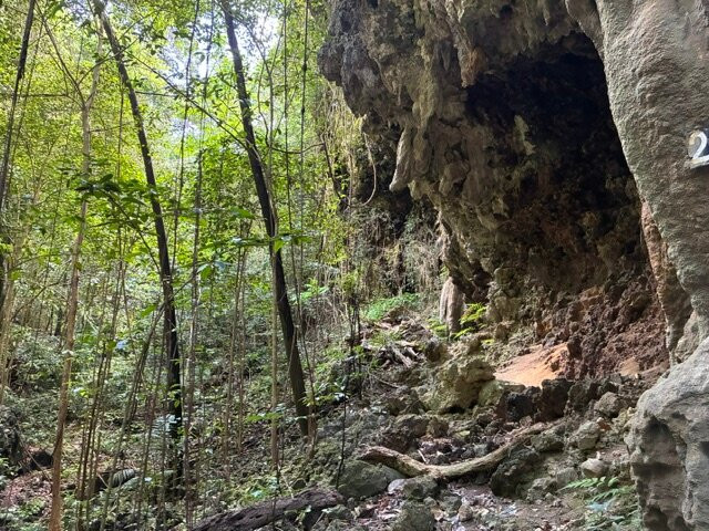 Welchman Hall Gully-Saint Thomas Parish必去景点