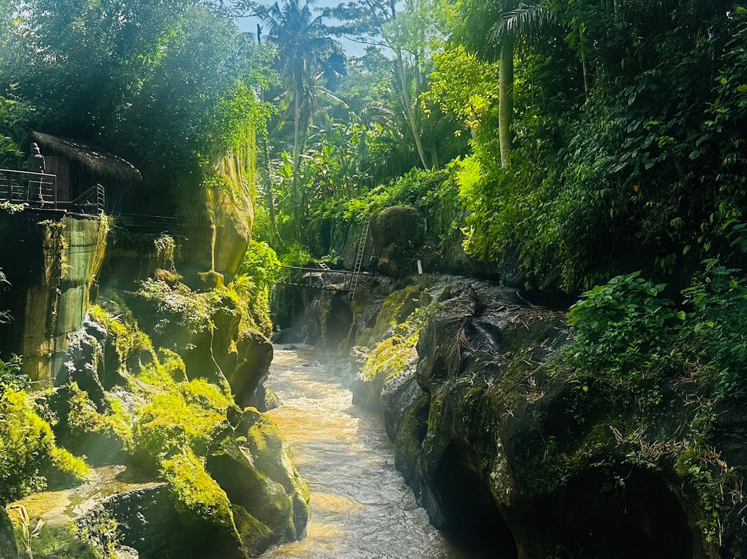 Seres Springs Resort & Spa, Singakerta主图