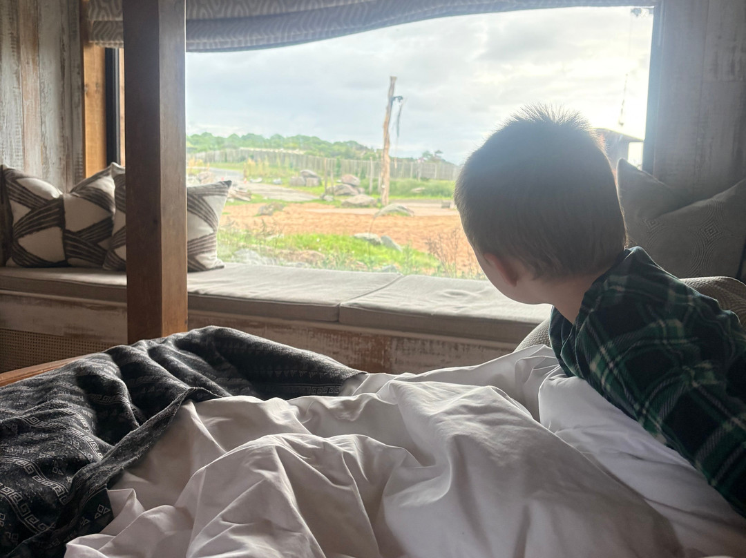 Safari Lodges At West Midlands Safari Park主图