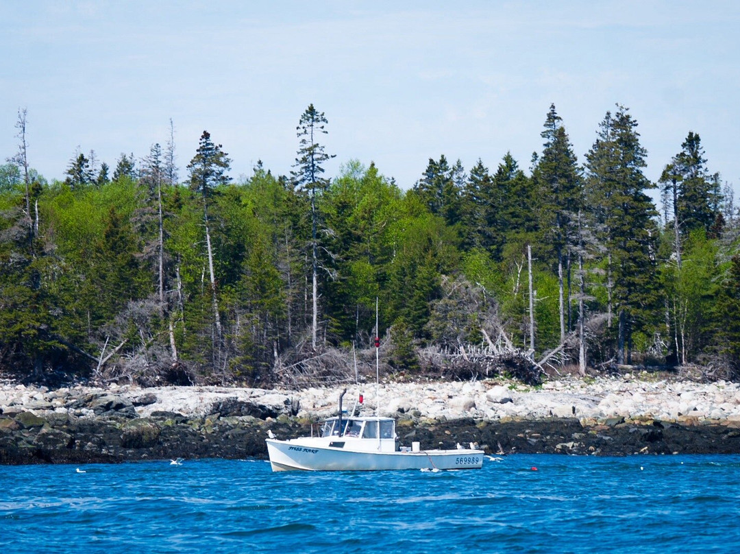 Robertson Sea Tours & Adventures-Milbridge必去景点