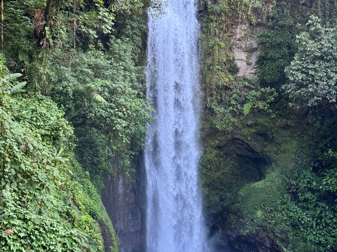 Waking Dreams Costa Rica-圣何塞必去景点