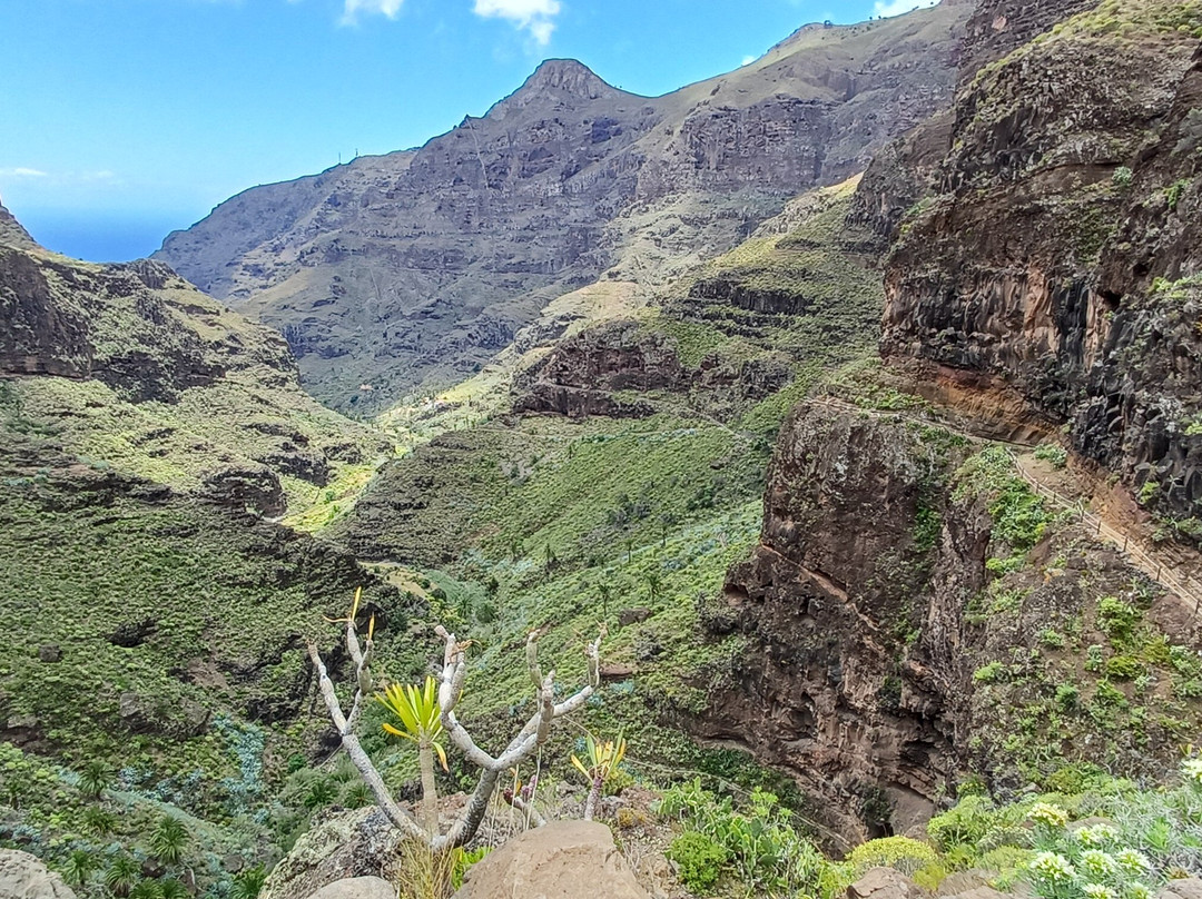 Ipalan Hiking Guided Tour-阿拉赫罗必去景点