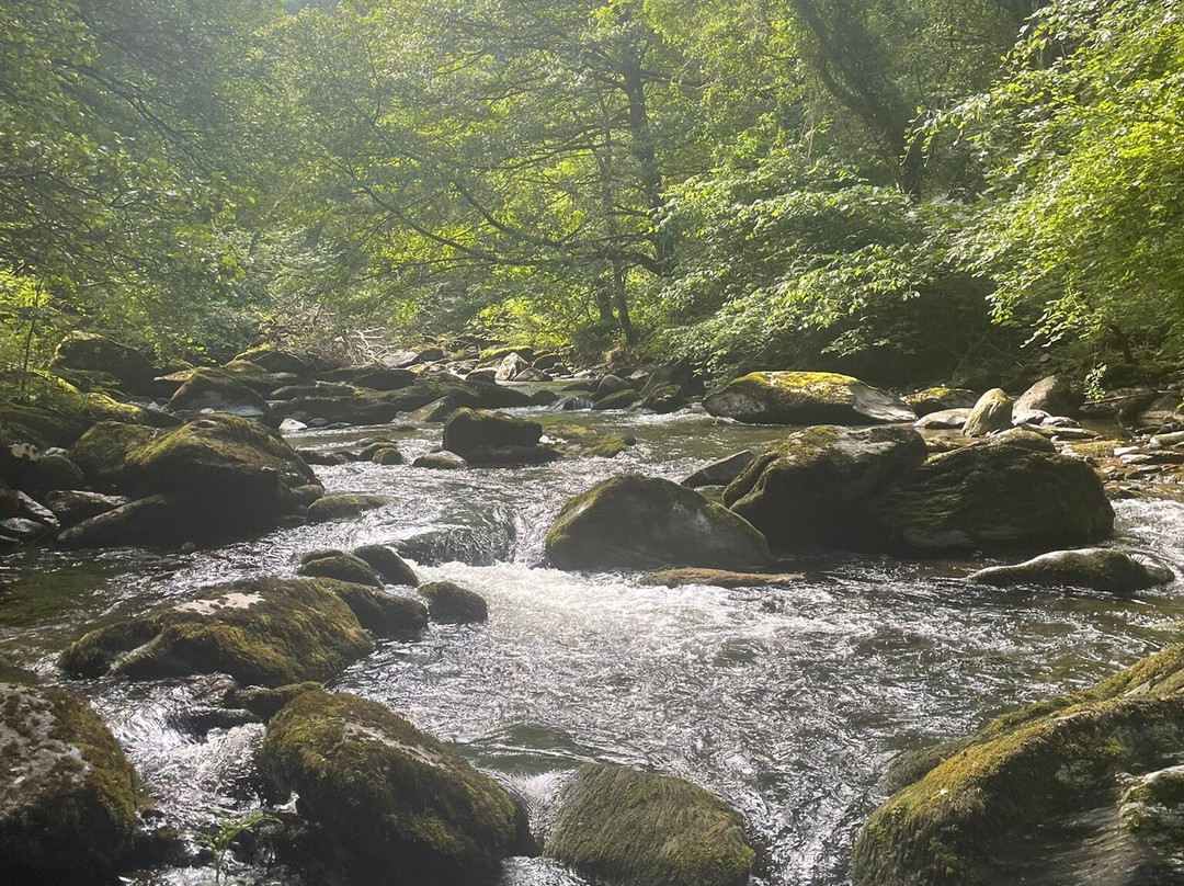 Watersmeet Trail-林茅斯必去景点