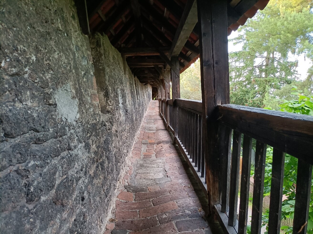 Fünfknopfturm-考夫博伊伦市必去景点
