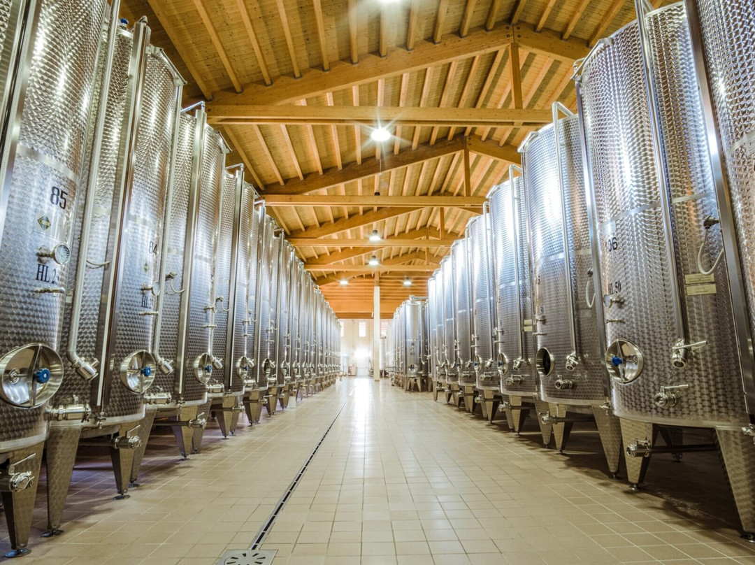 Azienda Agricola Ca'Rugate-Montecchia di Crosara必去景点