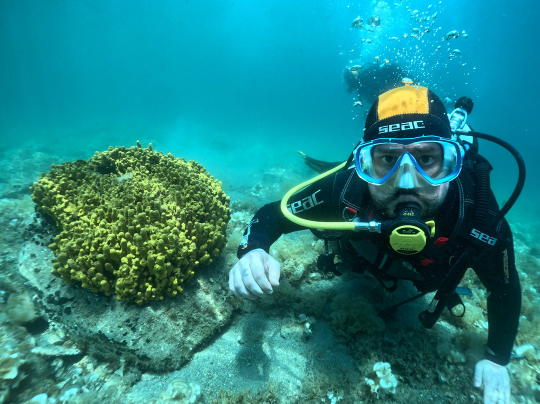 Argonauta Diving Resort-Rovies必去景点