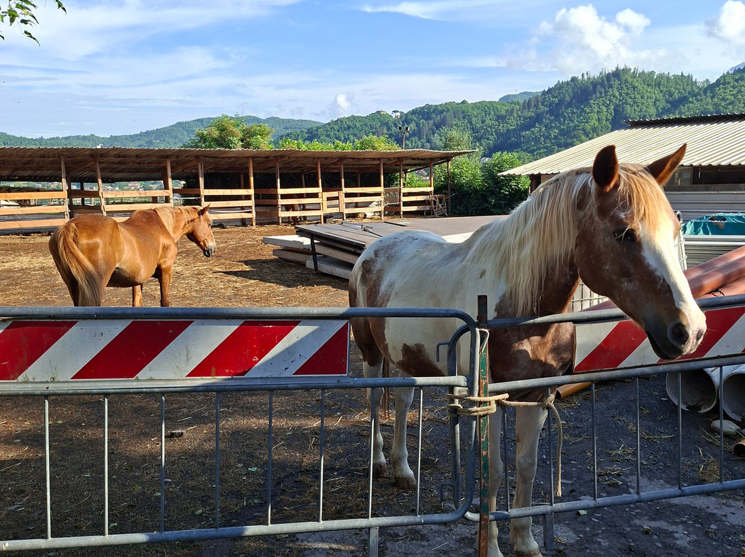 Agriturismo Venturo主图