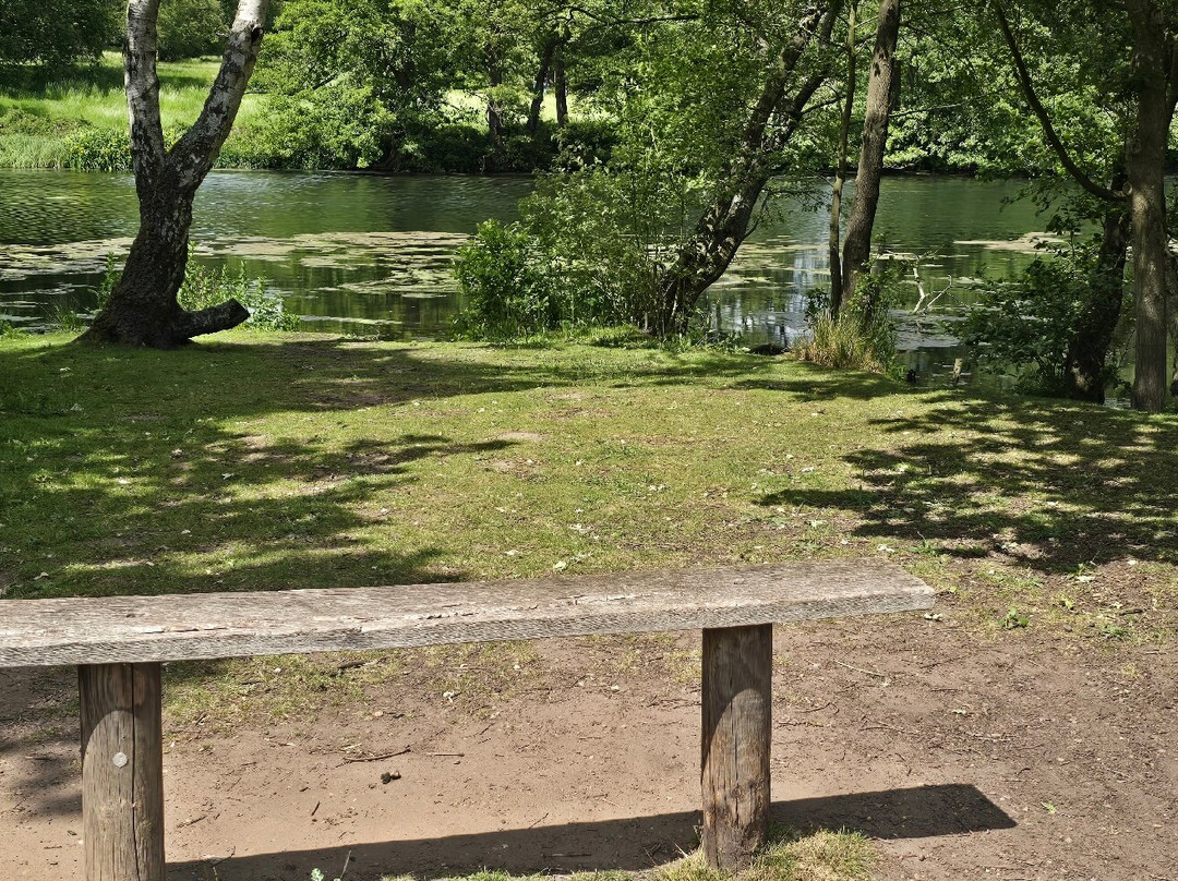 Clumber Park-沃克索普必去景点