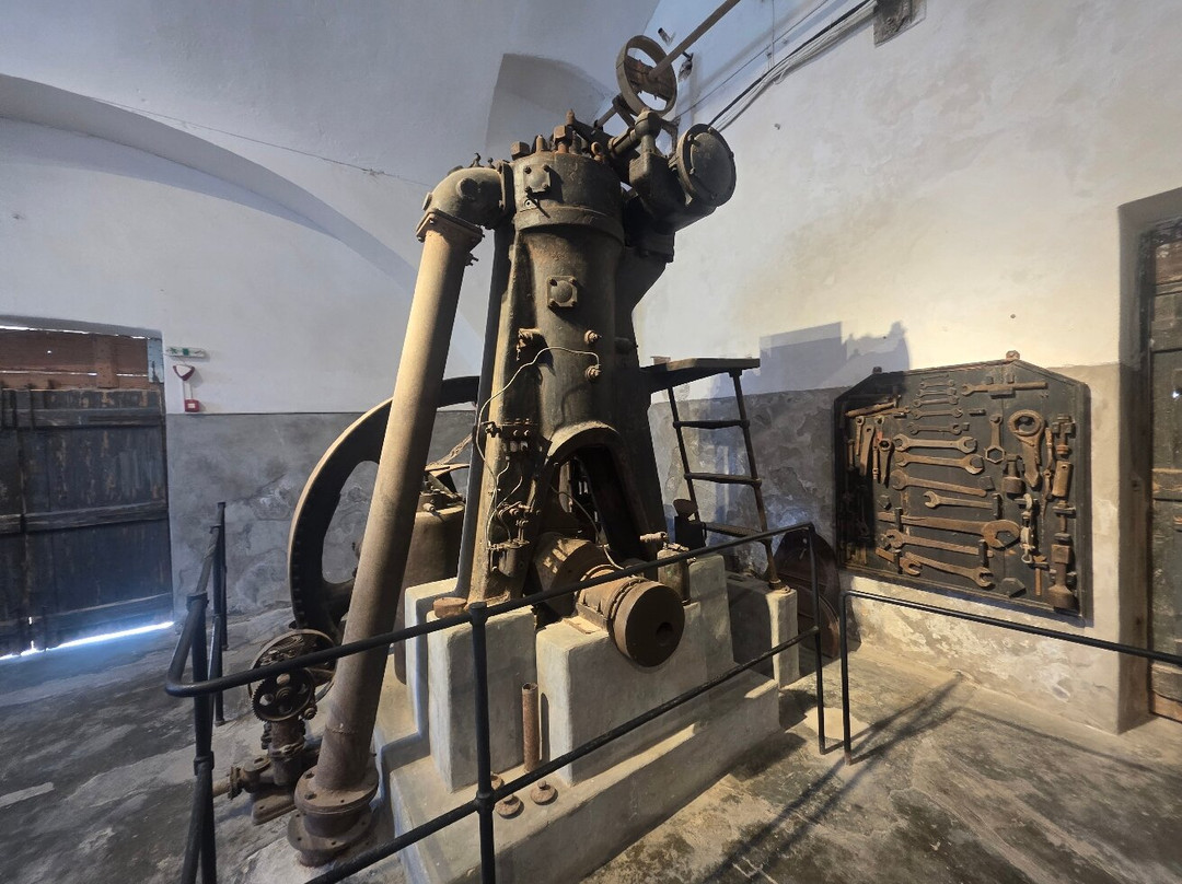 Tomato Industrial Museum, D.Nomikos-维查德必去景点