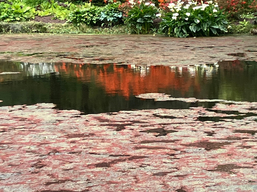 Bonython Estate Gardens-赫尔斯顿必去景点