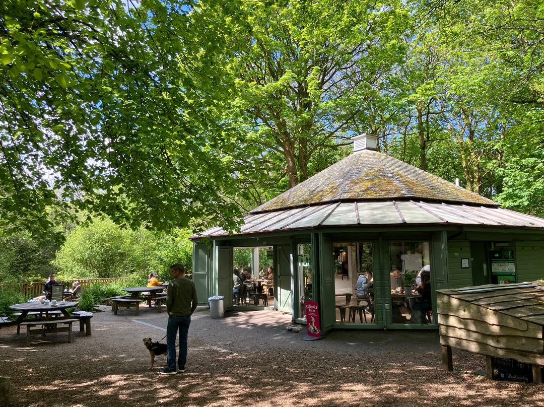 Tehidy Country Park-Camborne必去景点