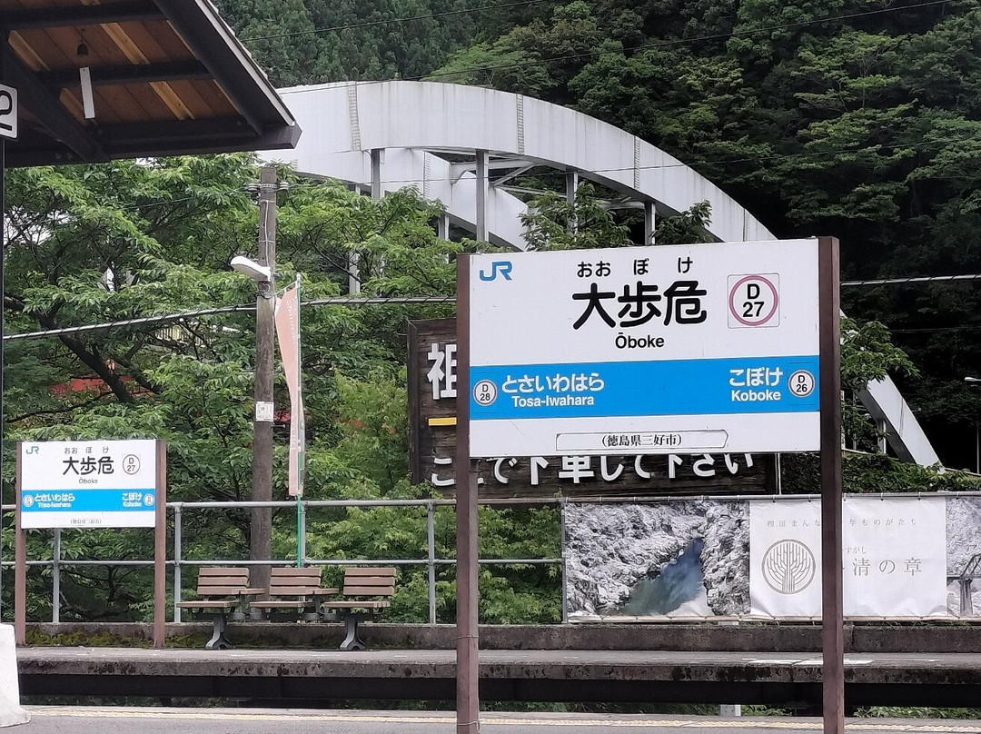 Oboke Station-三好市必去景点