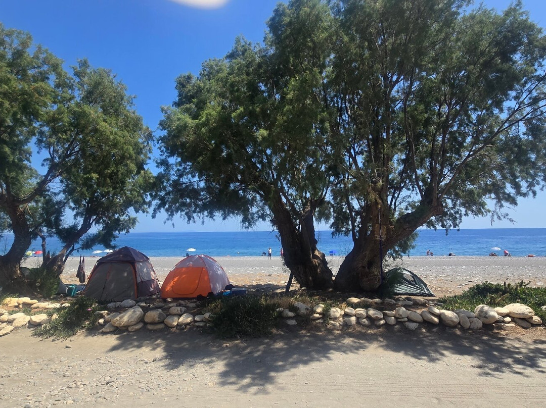 Sougia Beach-Sougia必去景点