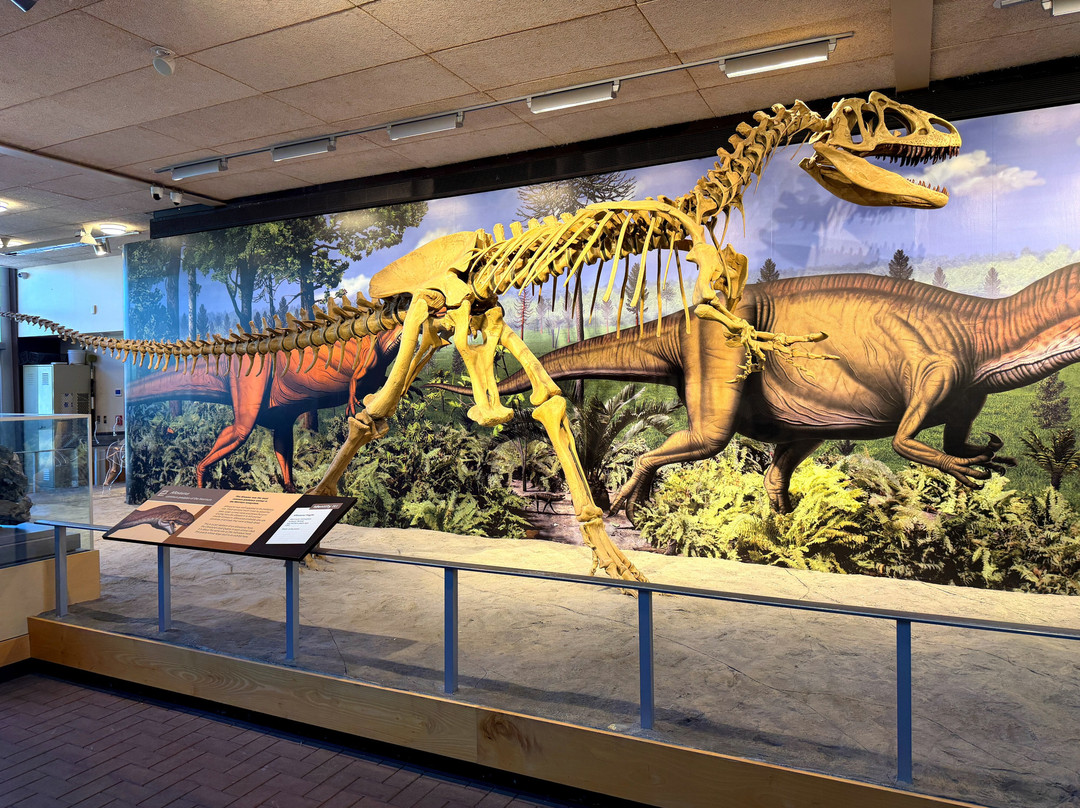 Dinosaur National Monument-Jensen必去景点