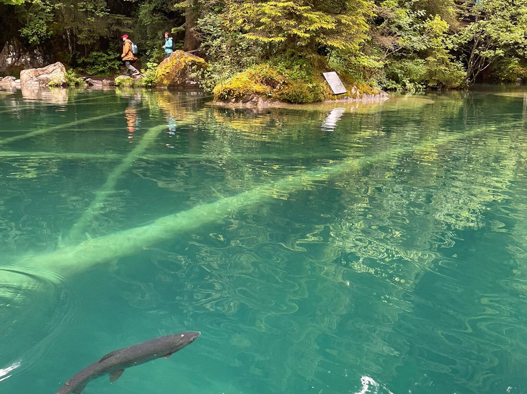 Nature Park Blausee-Blausee-Mitholz必去景点