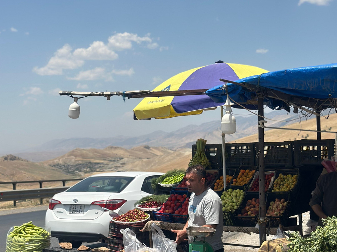 Kurdistan Iraq Guide-Erbil必去景点