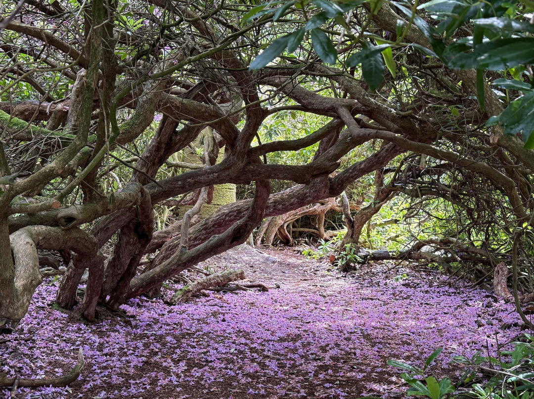 Hawkstone Park Follies-什鲁斯伯里必去景点