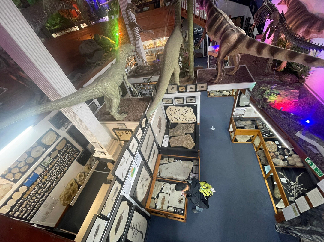 Dinosaurland Fossil Museum-莱姆里杰斯必去景点