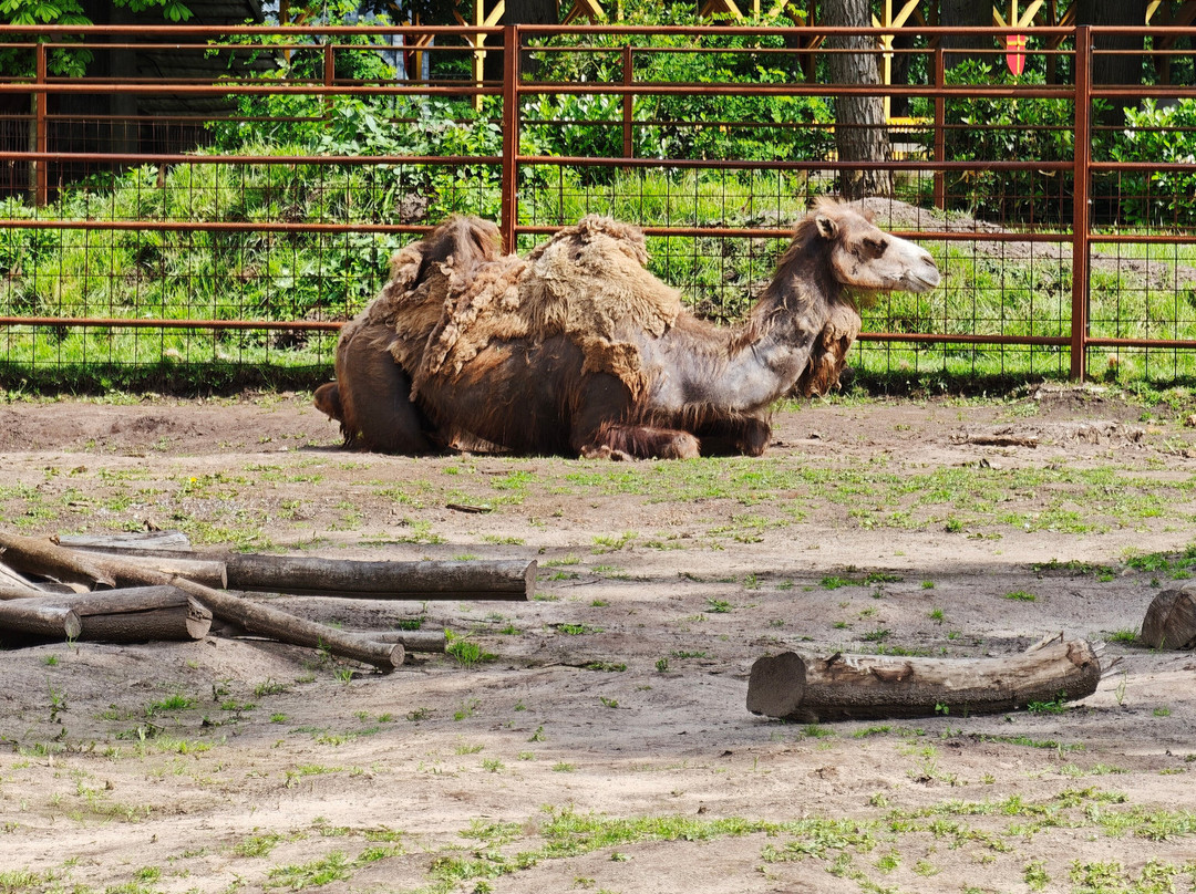 Wildpark Frankenhof-Reken必去景点